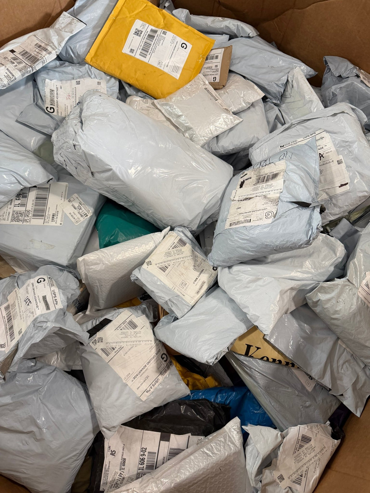 Full Pallet of Mixed Unclaimed Mail - Blue Bird Liquidation