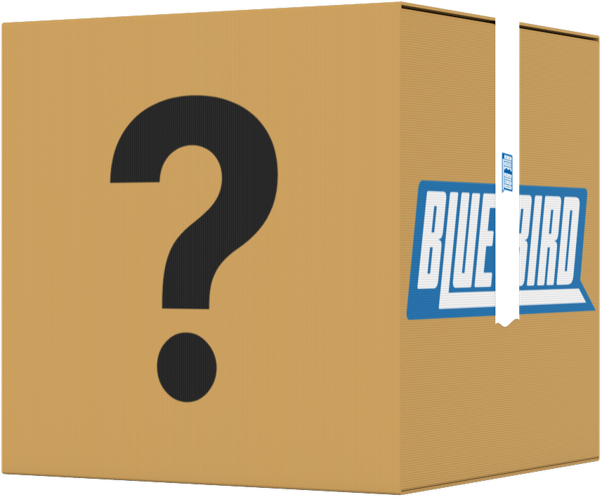 BACKUP 1/4/25 LG - Blue Bird Liquidation