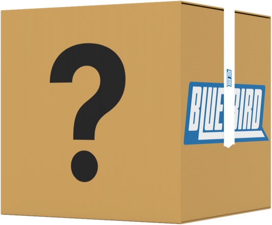 BACKUP 1/4/25 LG - Blue Bird Liquidation
